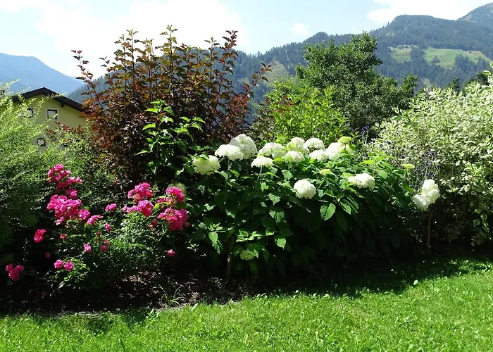 Sylvester Apartman *