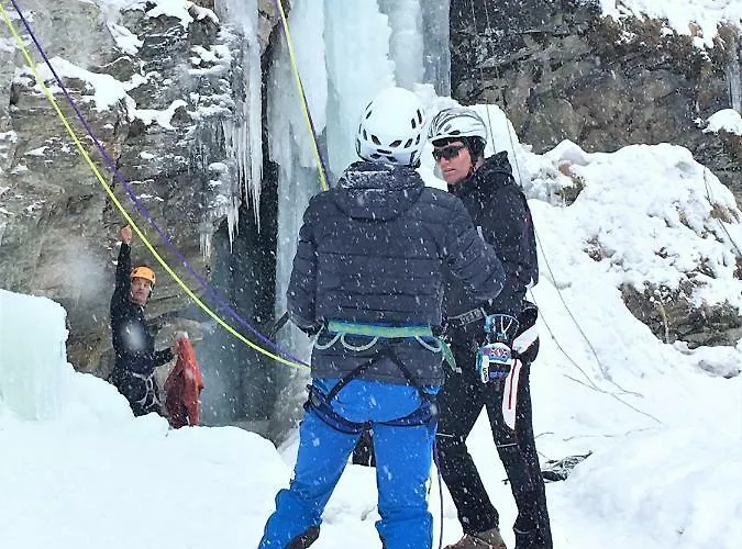 Apartman Sylvester *