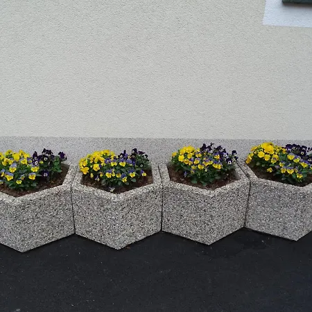 Sylvester Apartamento