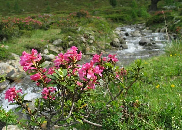 Apartamento Sylvester *